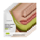 CactoLift – A Faixa Lifting Com Tecnologia Coreana Que Reduz a Papada e Esculpe o Contorno da Mandíbula (Oferta Exclusiva)